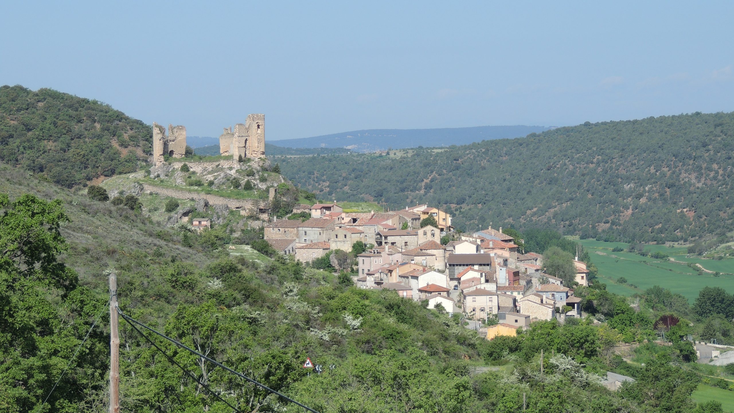 caza-siguenza-pelegrina