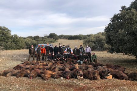 Monterías Caza Sigüenza (6)